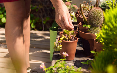 Outdoor & Garden: The Garden Tools That Actually Earn Their Keep