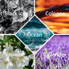 ButterflyPro™ - Transform Your Car Into A Fragrant Paradise (+ FREE Mystery bonus)