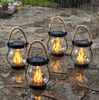 FlameMagic Pro™ - Create Magical Garden Ambience All Night Long (+ FREE Mystery Gift)