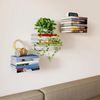 FloatShelf™ - Create Magical Floating Book Displays (+ FREE Mystery Gift)