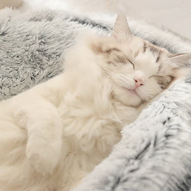 KittyCove™ - Cozy Plush Cat Bed for Ultimate Comfort