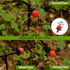 AquaFlow Pro™ - Never Kill Another Plant Again (+ FREE Mystery bonus)