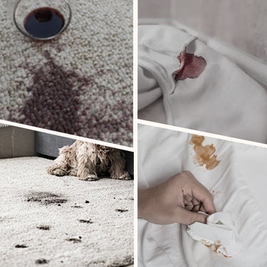 Carpet Cleaner Spray | Rapid-Dry Deep Stain Removal | Odour Elimination & Protective Barrier