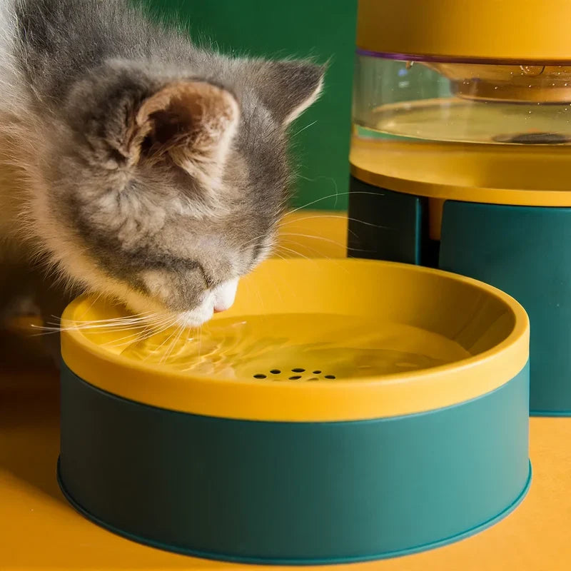 Double cat dish with rounded compartments