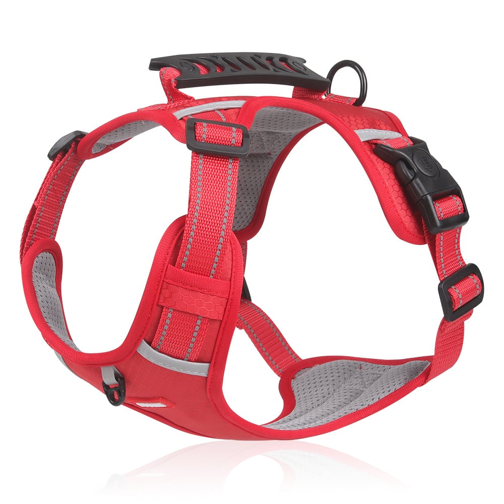 PawLead™ – No-Pull & Padded Dog Harness