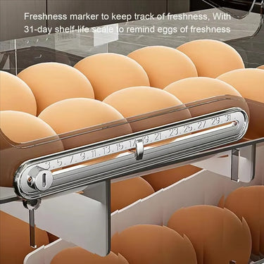 RollEgg™ Automatic Egg Dispenser – 2-Tier Refrigerator Storage Container